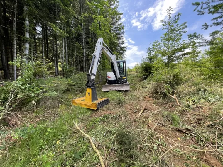 Débroussaillage de plantations forestières, Ambert, Exploitation Forestière Chanal Eric