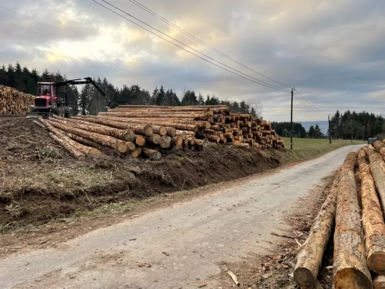 Achat de bois résineux à Ambert, Ambert, Exploitation Forestière Chanal Eric