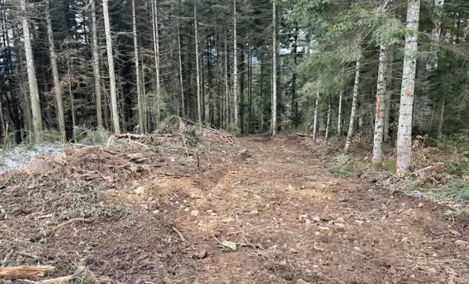 Achat bois , Clermont-Ferrand, Exploitation Forestière Chanal Eric