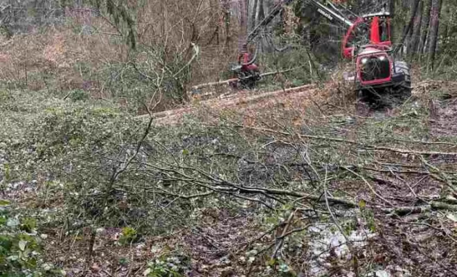 Gestion forestière, Clermont-Ferrand, Exploitation Forestière Chanal Eric