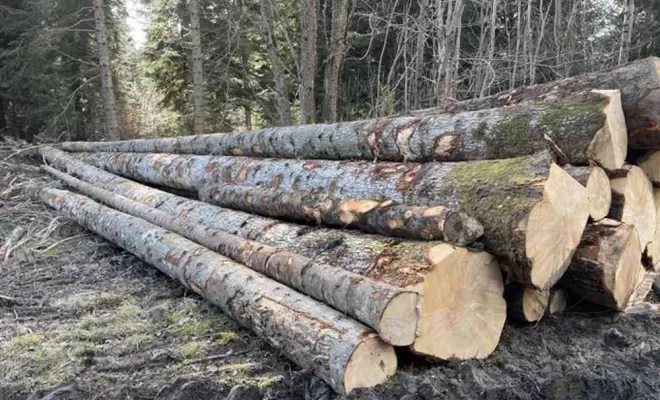 Gestion forestière, Clermont-Ferrand, Exploitation Forestière Chanal Eric