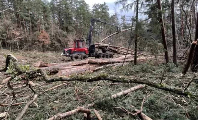 Gestion forestière, Clermont-Ferrand, Exploitation Forestière Chanal Eric