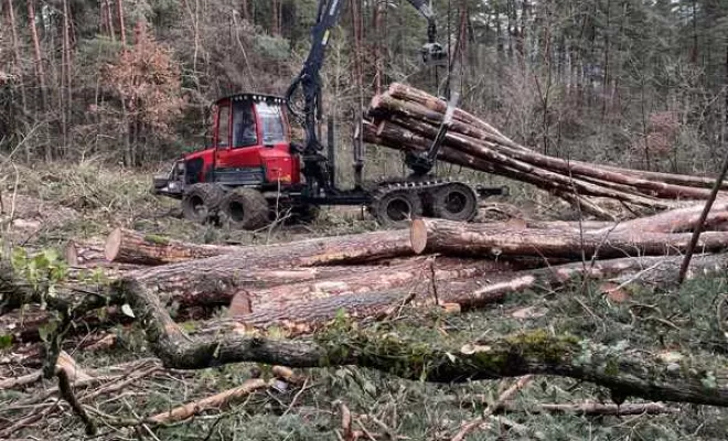 Gestion forestière, Clermont-Ferrand, Exploitation Forestière Chanal Eric