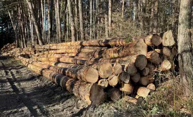 Gestion forestière, Clermont-Ferrand, Exploitation Forestière Chanal Eric