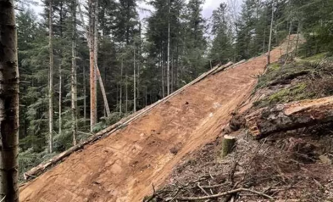 Gestion forestière, Clermont-Ferrand, Exploitation Forestière Chanal Eric