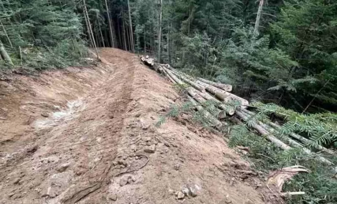 Gestion forestière, Clermont-Ferrand, Exploitation Forestière Chanal Eric