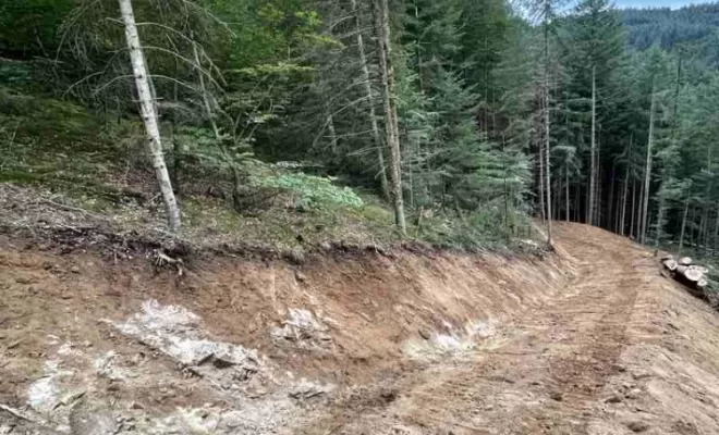 Gestion forestière, Clermont-Ferrand, Exploitation Forestière Chanal Eric