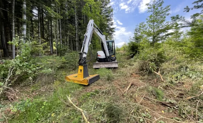 Débroussaillage de plantations forestières, Ambert, Exploitation Forestière Chanal Eric
