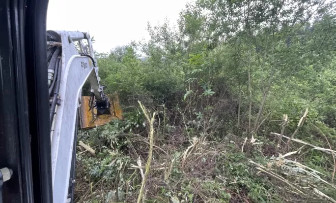 Gestion forestière, Clermont-Ferrand, Exploitation Forestière Chanal Eric