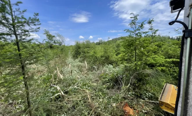 Gestion forestière, Clermont-Ferrand, Exploitation Forestière Chanal Eric